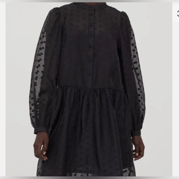 ⚡️✨💥Polka Dotted Semi-Sheer Puff Sleeved Black H&M DRESS - NWOT Long Sleeves - Picture 3 of 8